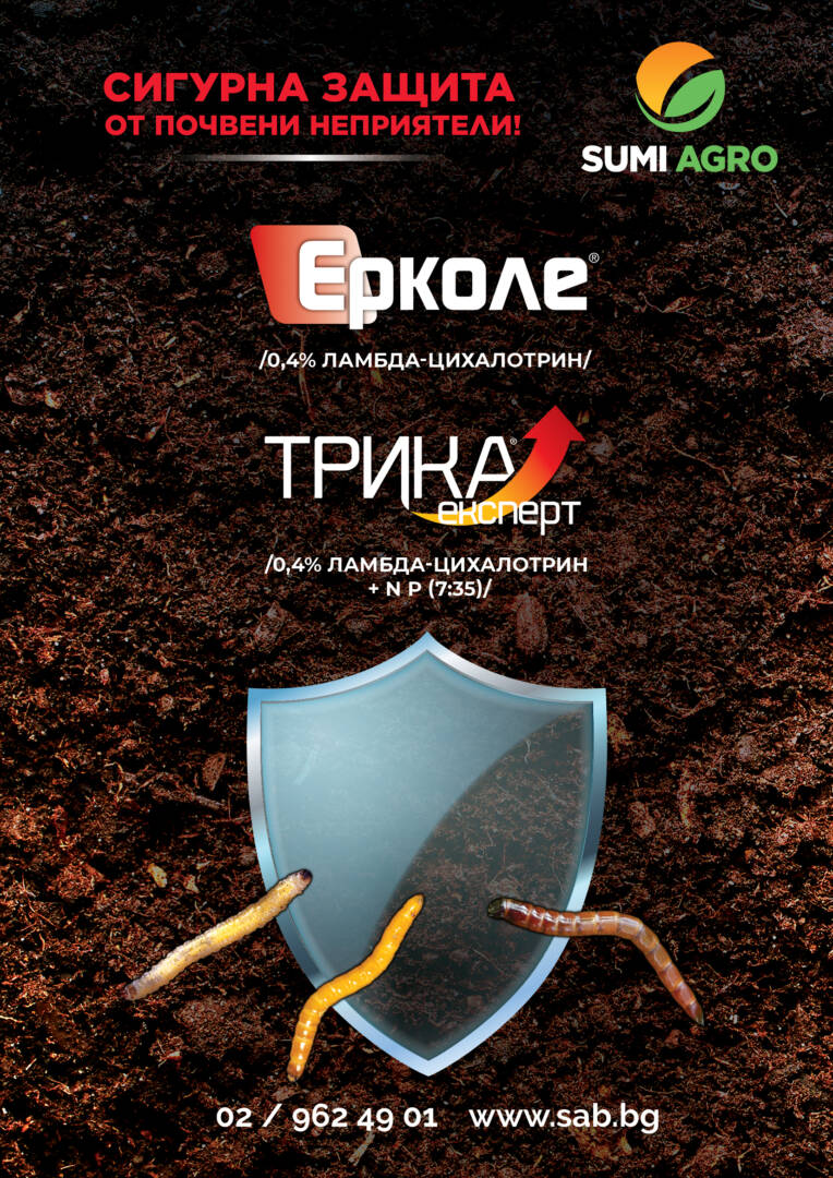 Trika-Erkole-Shield-A4-200dpi-RGB