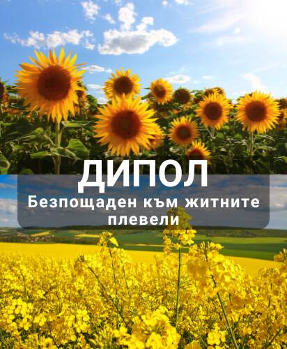 dipol