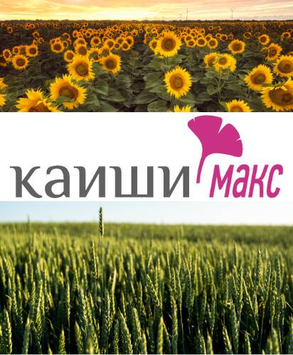 kaishi-maks