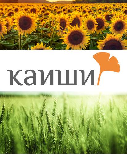kaishi