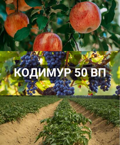 kodimur-50-vp