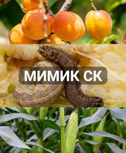 mimik-sk