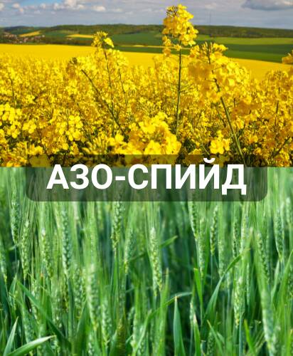 azo-spiyd